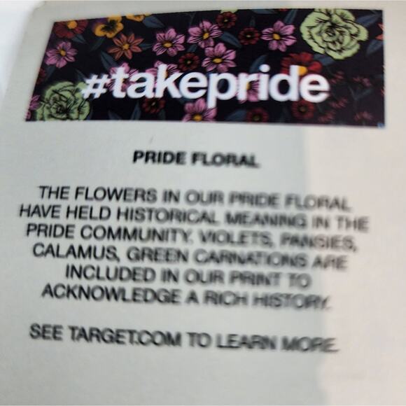 Pride Pins Set/4 Take Pride Pins New Pride Community Violet Pansies Calamus - Picture 2 of 8